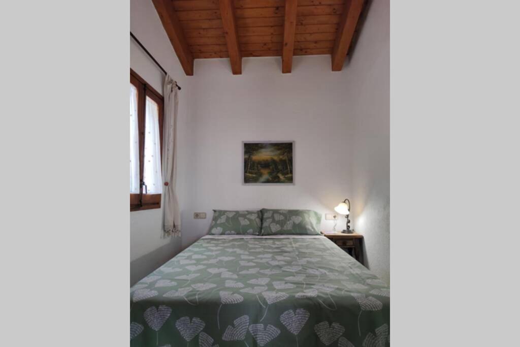 Casa Escola Βίλα Pobla de Segur Εξωτερικό φωτογραφία